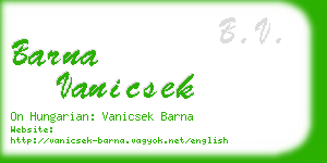 barna vanicsek business card